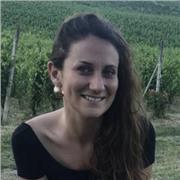 Docente di materie umanistiche.
Alterno la lezione frontale a momenti di confronto e interazione. Imposto il percorso di studio insieme allo studente, seguendo il suo stile di apprendimento e fissando chiari obiettivi da raggiungere. 
Ricorro a materiali